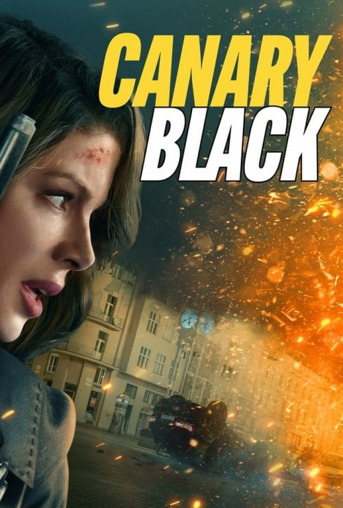 قناری سیاه Canary Black