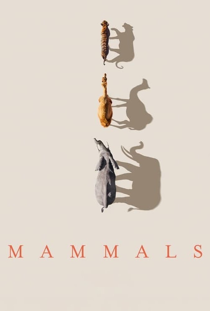 پستانداران Mammals