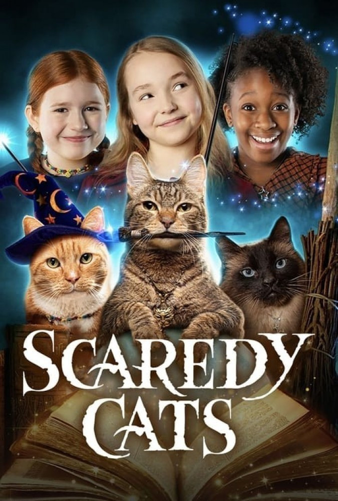 گربه های ترسو Scaredy Cats