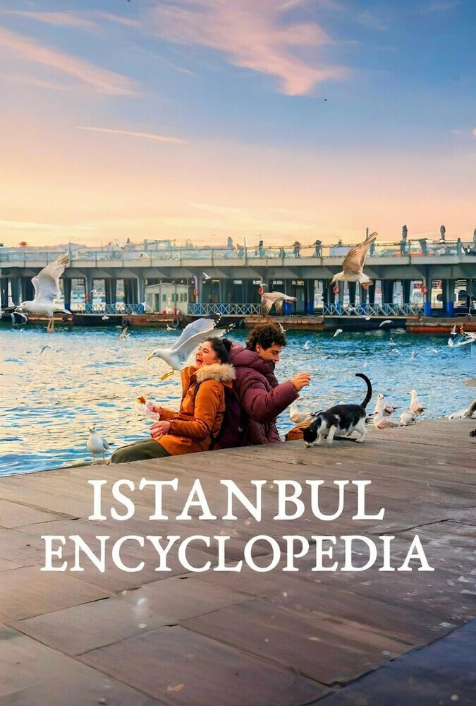 دایره المعارف استانبول İstanbul Ansiklopedisi