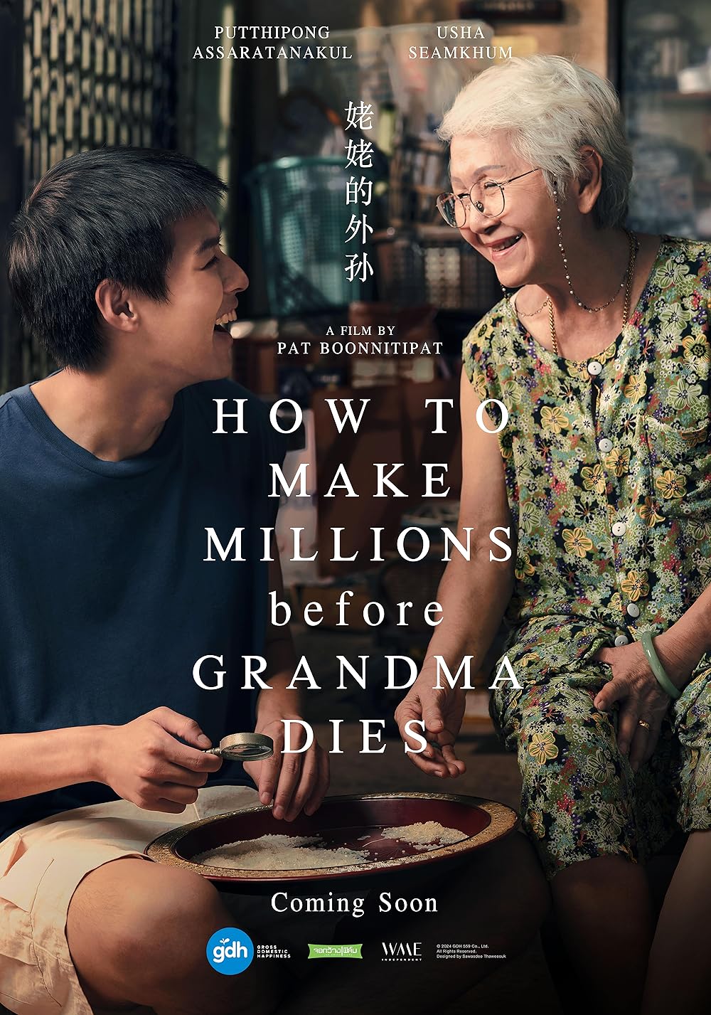 چطور قبل از مرگ مادربزرگ میلیونر شویم How to Make Millions Before Grandma Dies