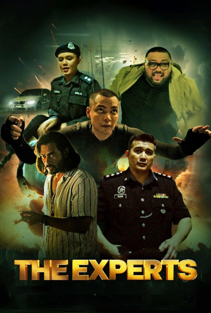 دزدان ماهر The Experts