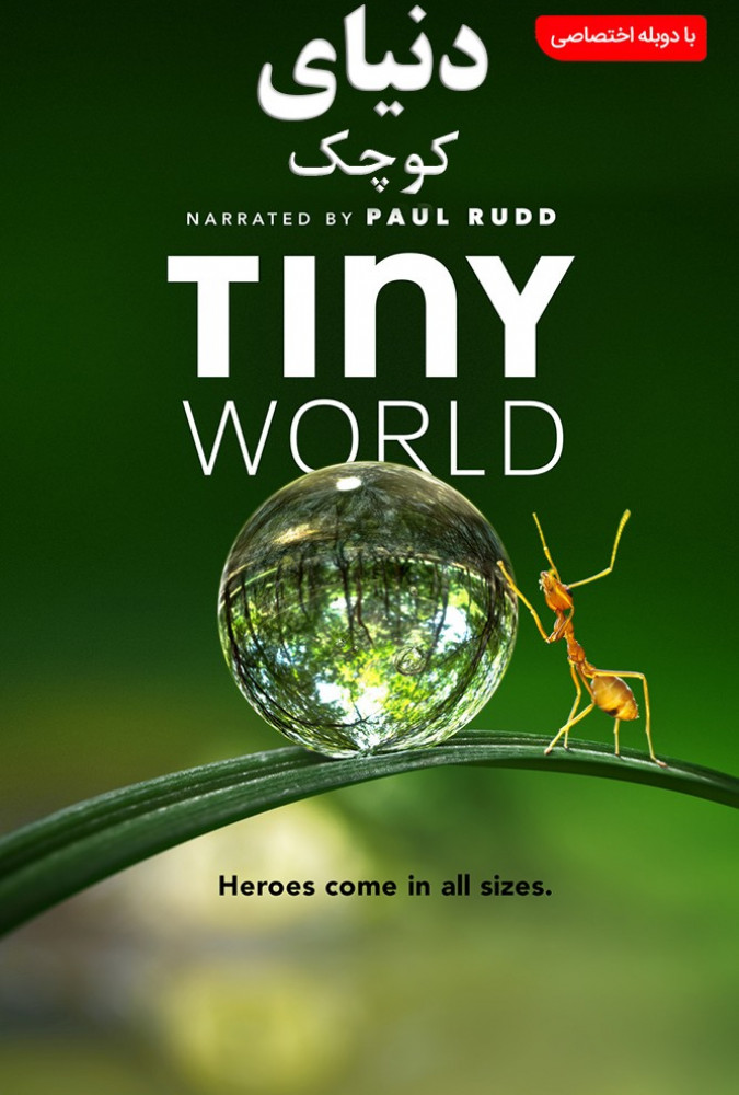 دنیای کوچک tiny world
