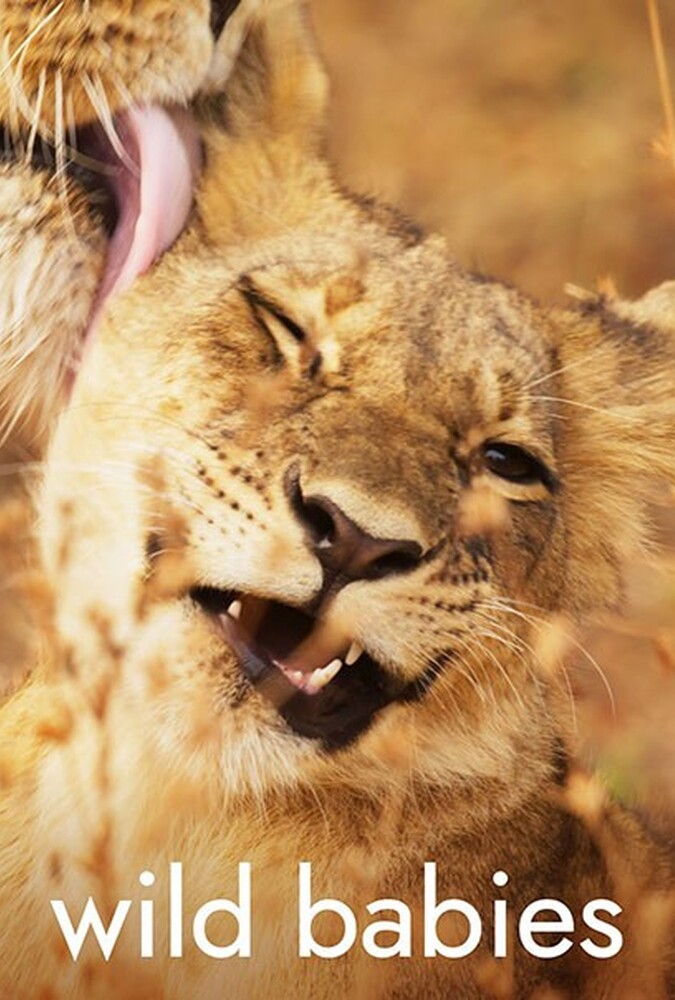 بچه های حیات وحش Wild Babies