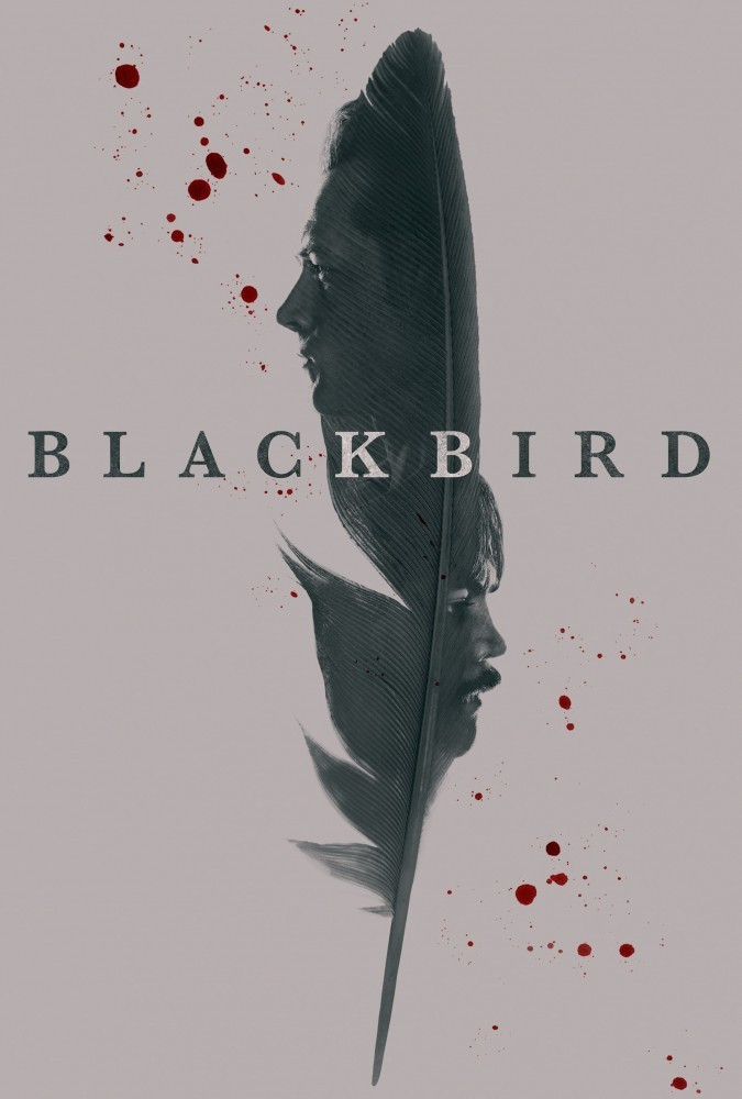پرنده سیاه Black Bird