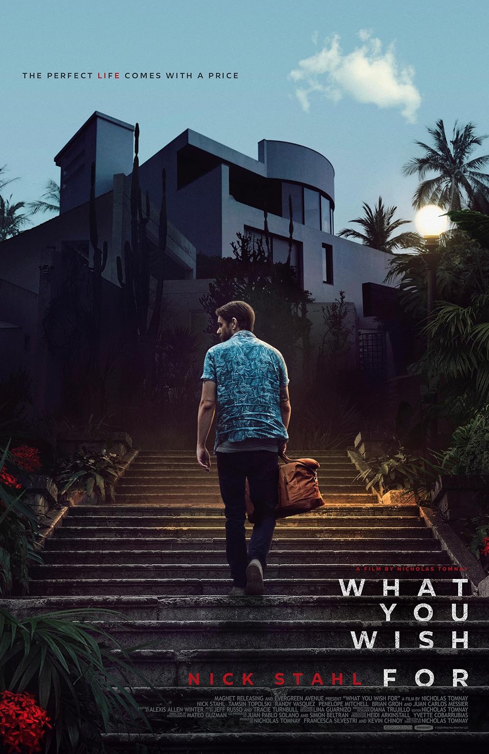 آنچه آرزویش را داری What You Wish For