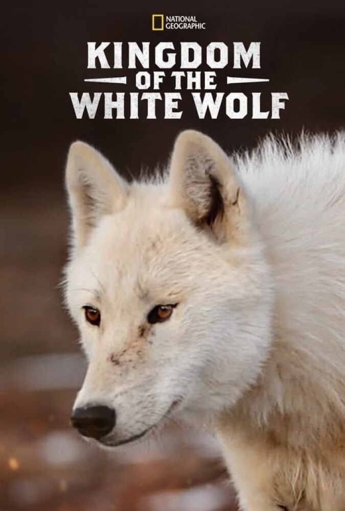 قلمروی گرگ سفید Kingdom of the White Wolf