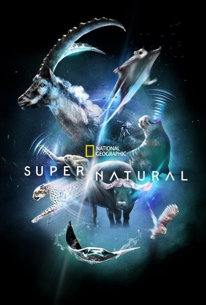 فوق طبیعی Super/Natural