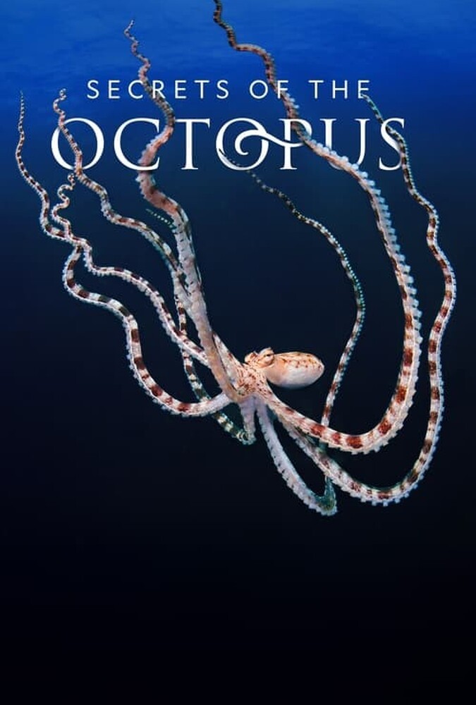 رازهای اختاپوس Secrets of the Octopus