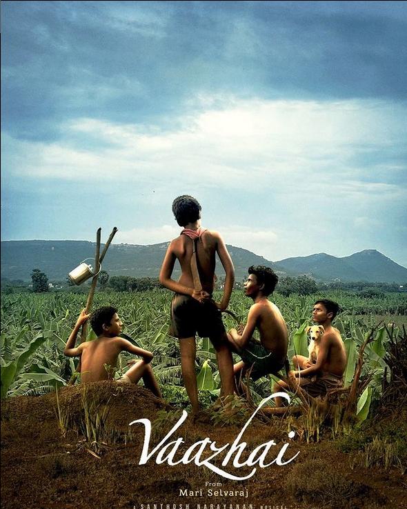 سایه نخل Vaazhai