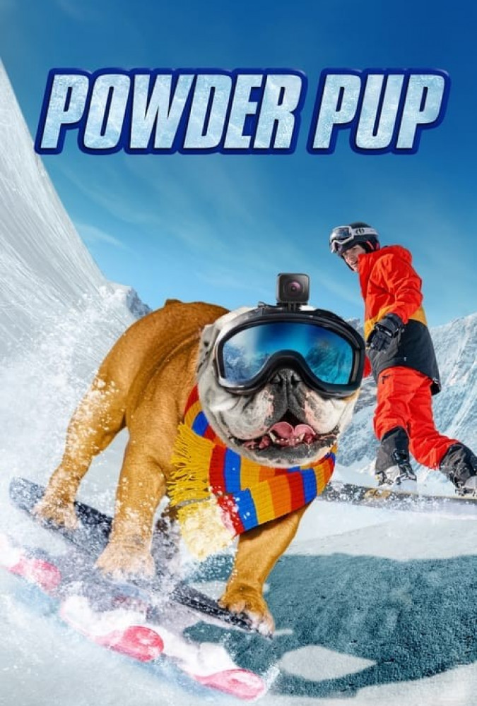 سگ اسکی باز Powder Pup